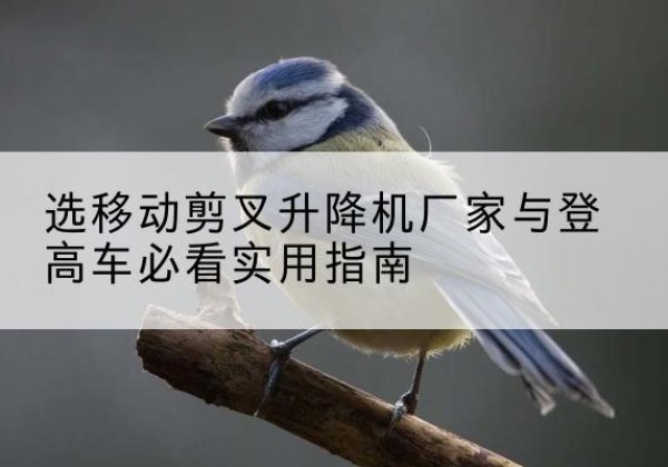 澄海电动升降机厂家-选移动剪叉升降机厂家与登高车必看实用指南