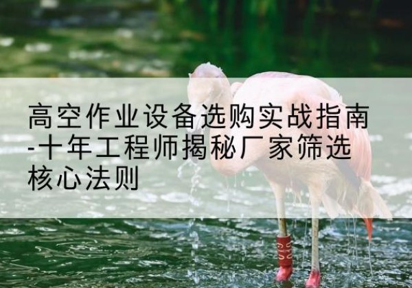 澄海剪叉式升降机厂家-高空作业设备选购实战指南-十年工程师揭秘厂家筛选核心法则
